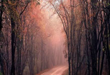 竞技宝电竞-包含Karsa爆冷击败塞尔维亚队，突破纪录引爆全场！的词条