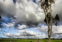 竞技宝电竞-包含Karsa爆冷击败塞尔维亚队，突破纪录引爆全场！的词条